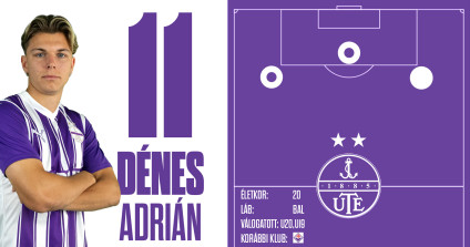Denes Adrian Web Stat