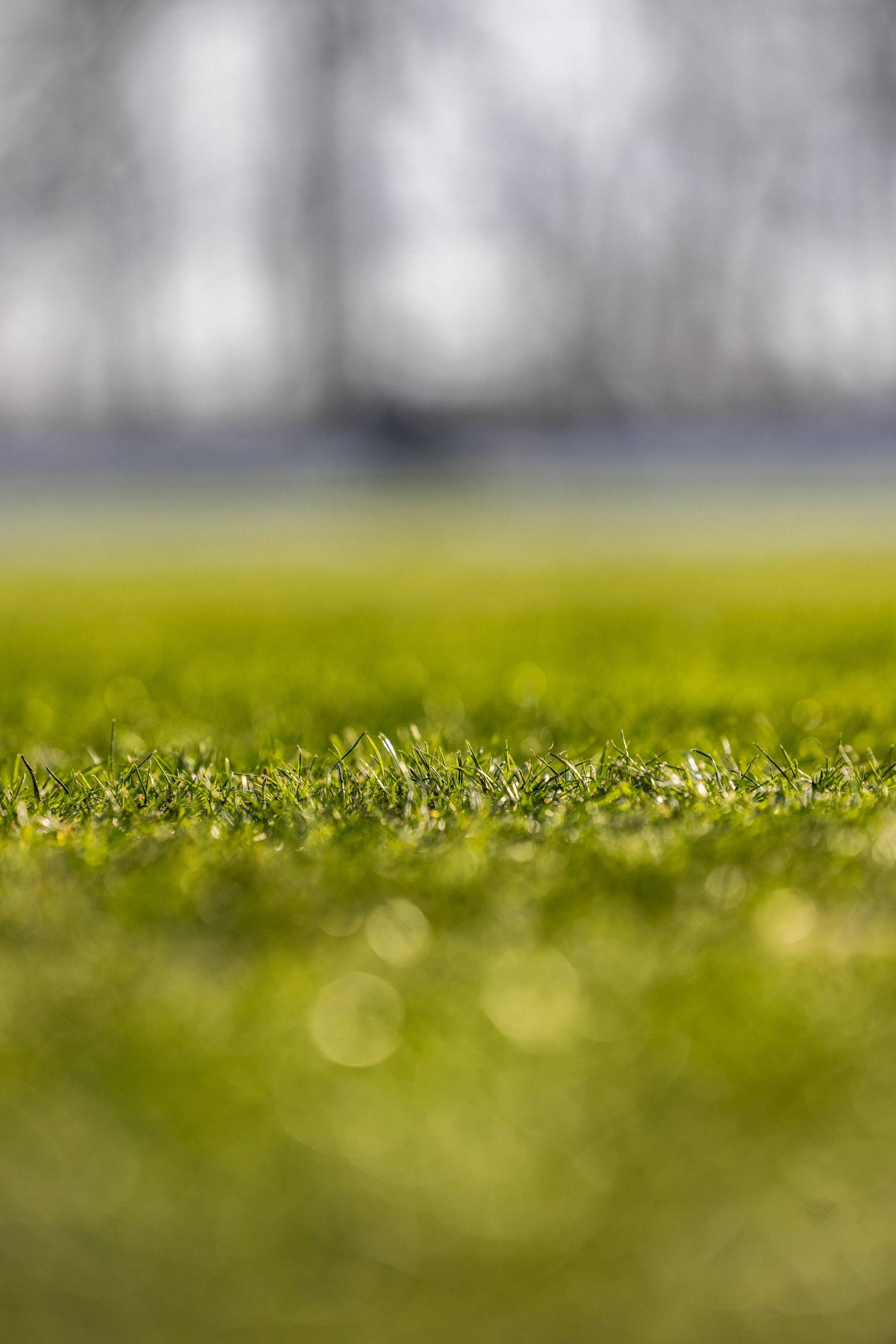 Remek körülmények között készülünk - Galéria