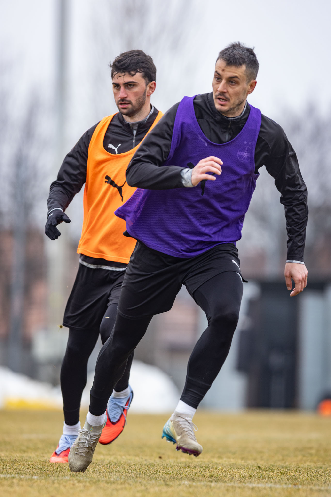 Placeholder Image 1 Alt