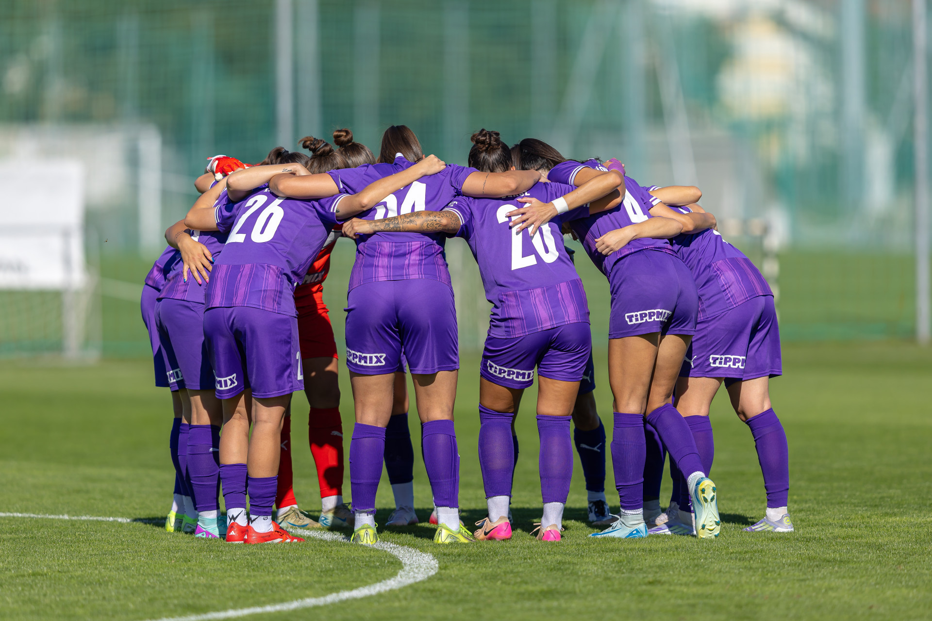 Placeholder Image 1 Alt