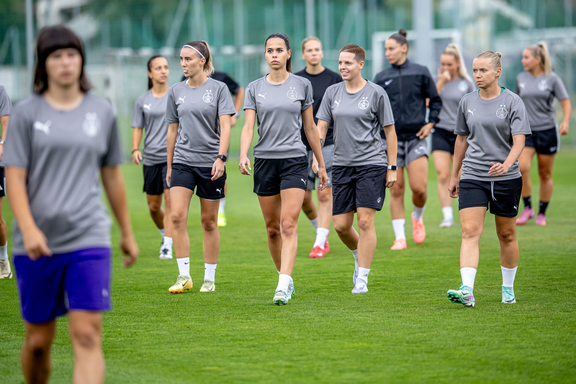 Placeholder Image 1 Alt