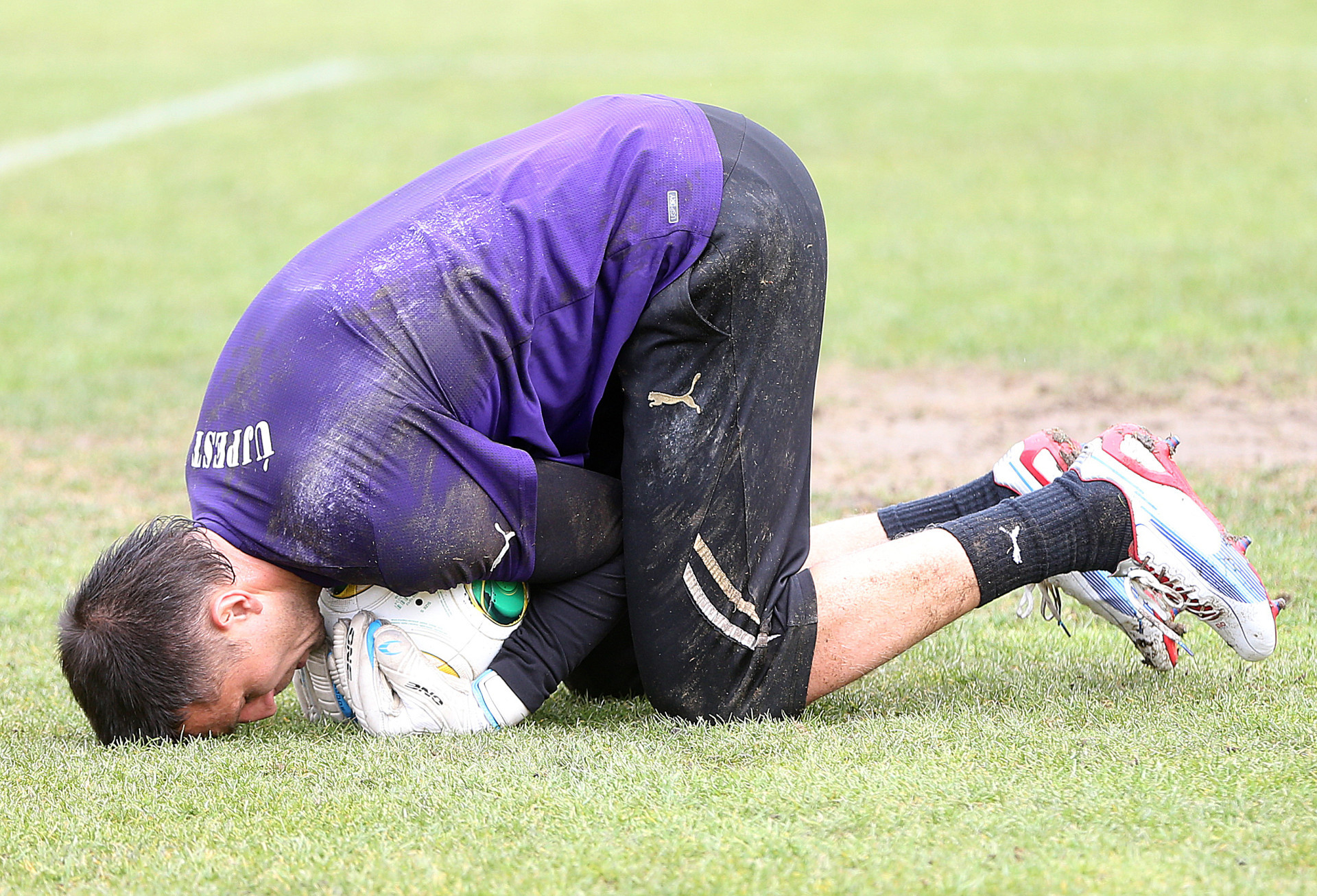 Placeholder Image 1 Alt