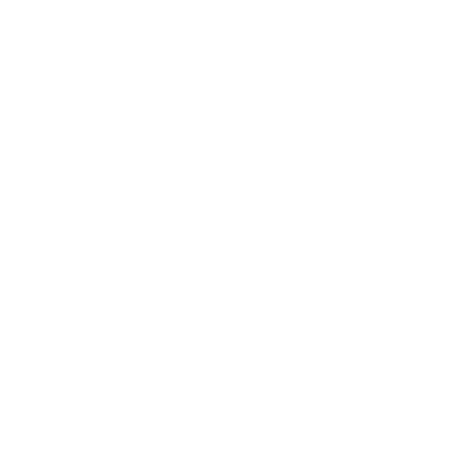 Vasas FC