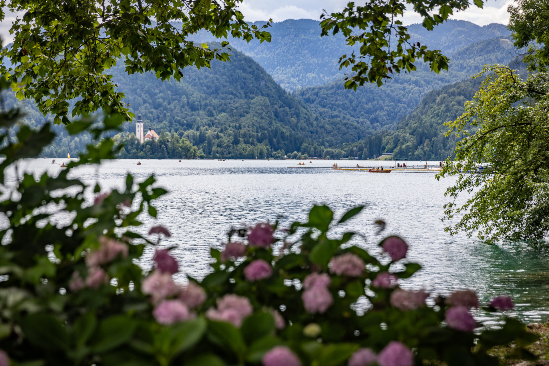 Placeholder Image 1 Alt