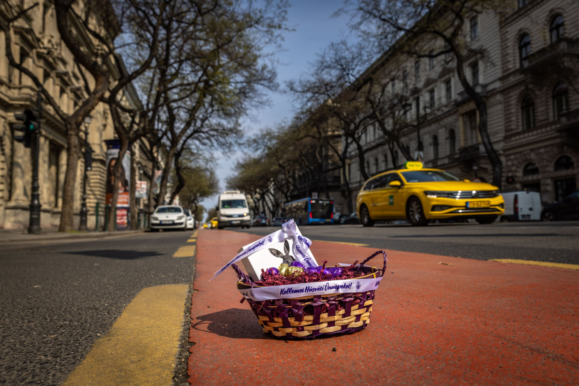 Placeholder Image 1 Alt