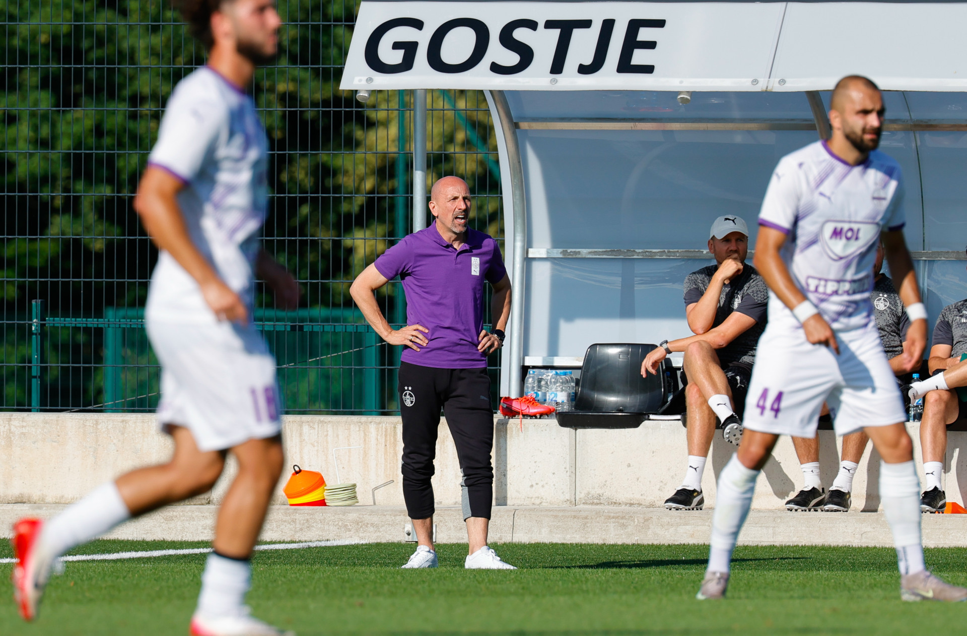 Placeholder Image 1 Alt